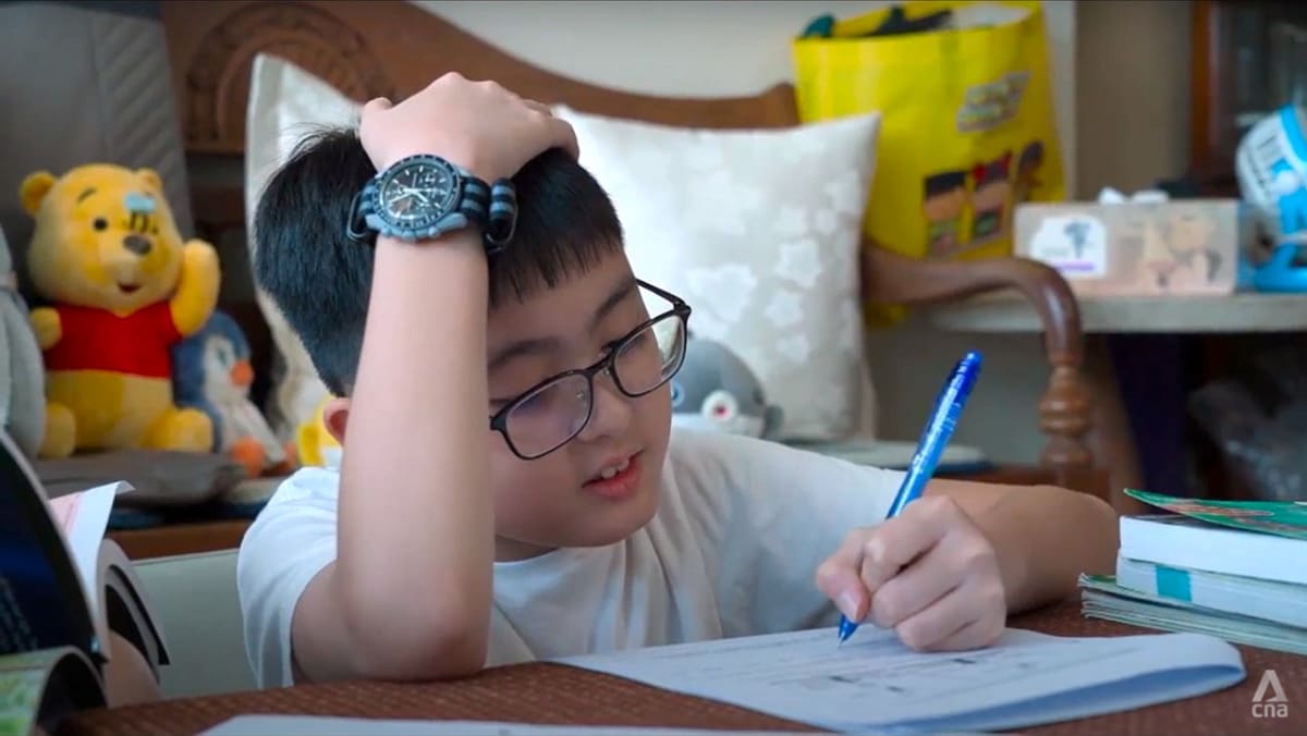 Grade expectations: Why PSLE scores matter so much to parents, pupils