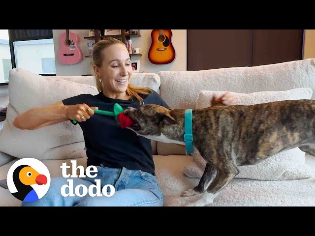 Nikki Glaser Goes on A Dodo Dream Date | The Dodo