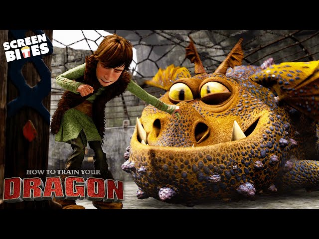 Training With Toothless | How To Train Your Dragon (2010) | Screen Bites