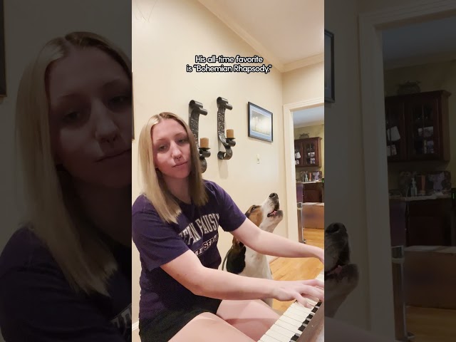 He Won't Stop Barking Until His Mom Plays The Piano | The Dodo