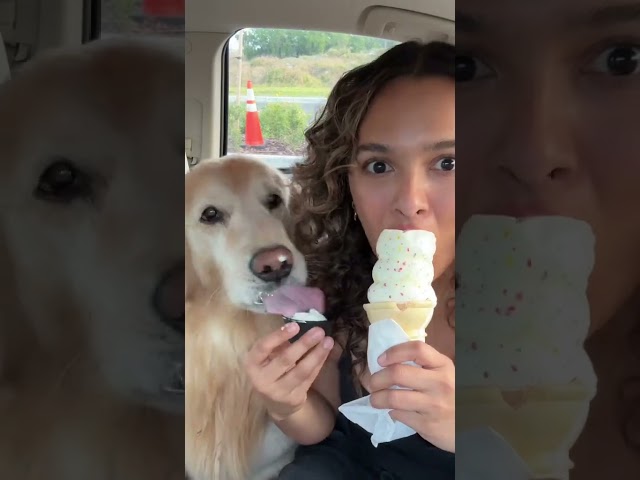 TRYING THE NEW DAIRY QUEEN CONFETTI CONE 🍦💗🐶