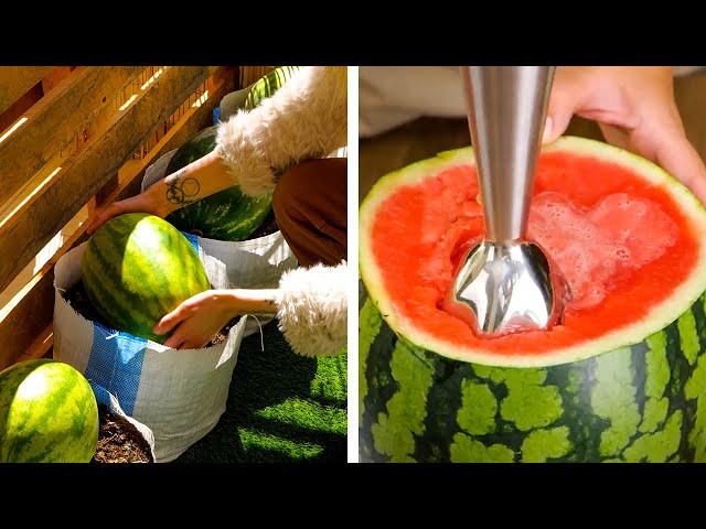 Genius Hacks to Peel And Slice Fruits And Vegetables