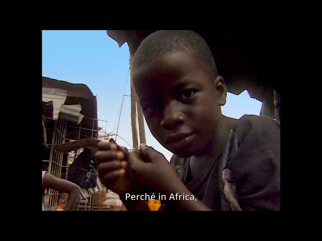 Trailer ufficiale - Fela, il mio Dio vivente