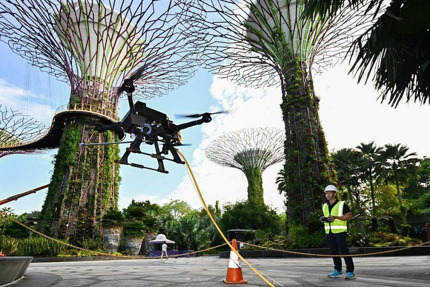 Drones clean the Supertrees, water and fertilise plants at Gardens by the Bay
