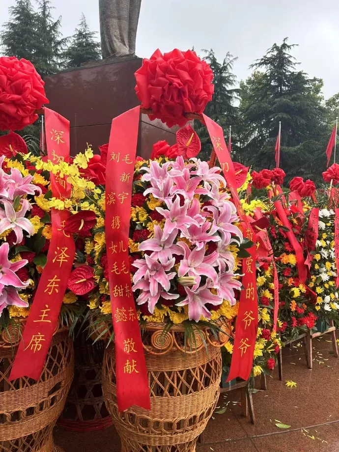 毛泽东嫡孙毛新宇带全家回韶山祭祖 毛东东身着军装