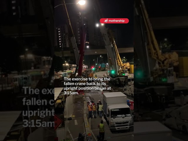 Two cranes hoist fallen crane upright at Punggol Road in night operation