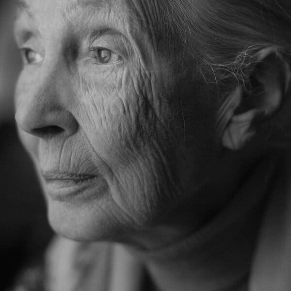 What’s Next for Jane Goodall? An Immersive Spectacle in Tanzania.