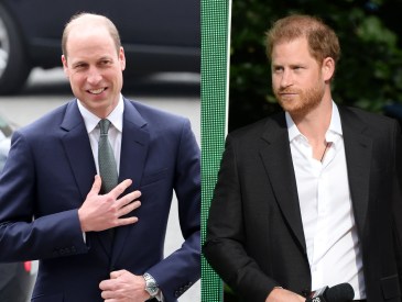 Prince Harry & Prince William Might Be Considering a Reconciliation for This Very Specific Reason