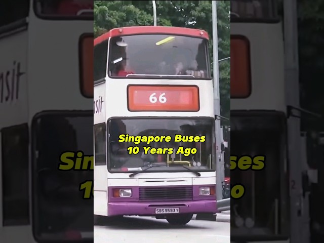 Nostalgic Singapore Buses that and Kids will Remember ✨