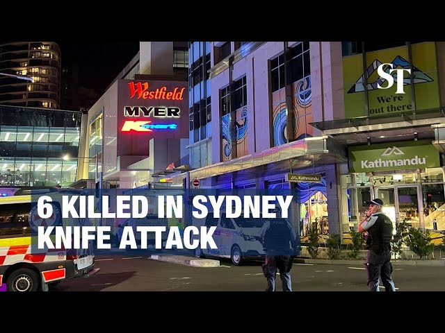 6 killed in Sydney mall attack; attacker shot dead by police