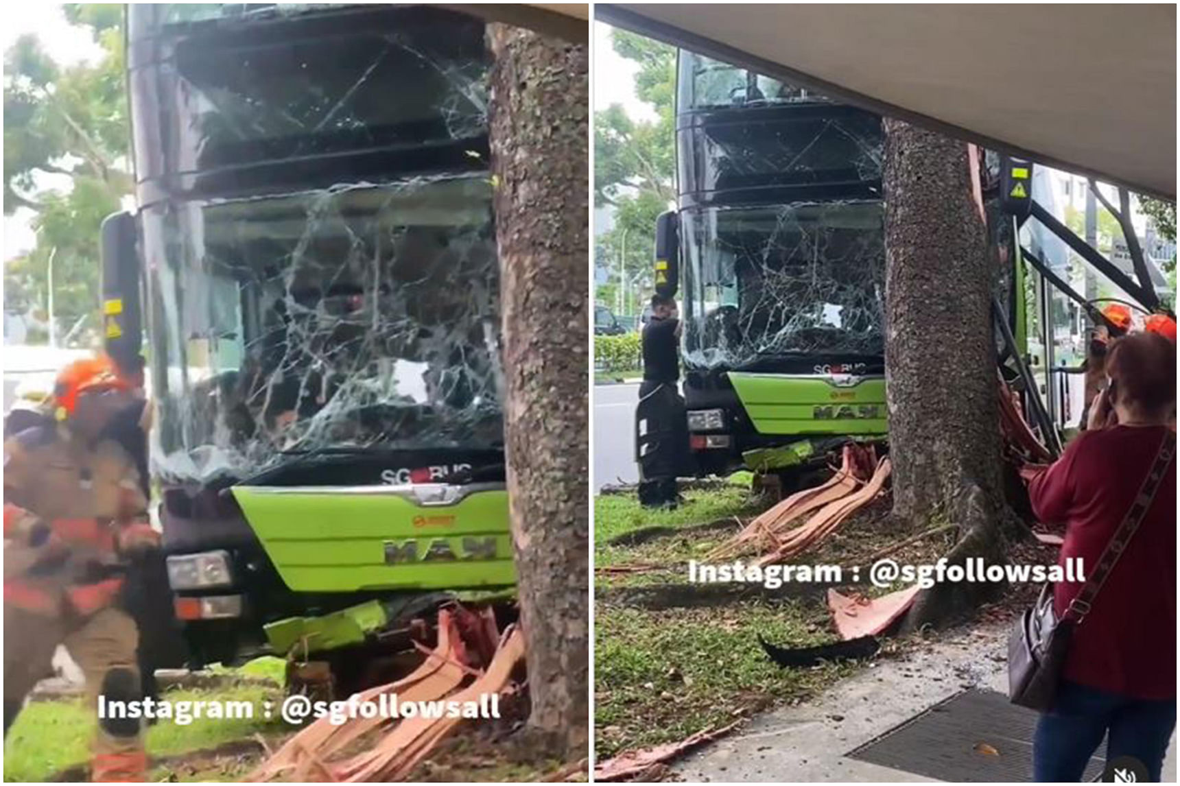 SMRT bus driver lost control of vehicle and crashed into tree! He ended up... 
