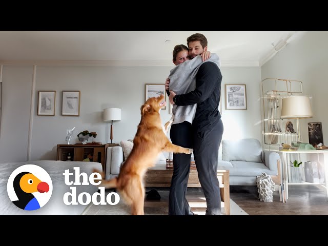 Surviving Your First Year As A First-Time-Pet-Parent In Your 20's | The Dodo
