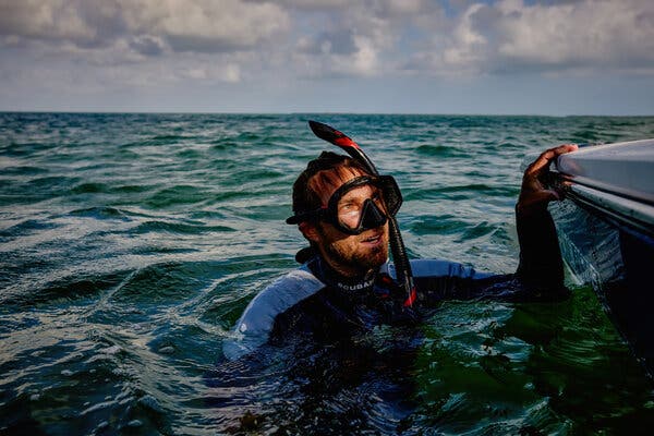 What’s Killing Endangered Sawfish in Florida?