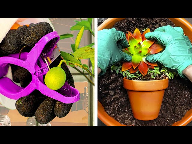 Grow your plants with these useful hacks!