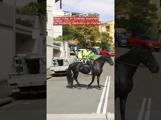 Uber rider in Sydney banned for making delivery on horse