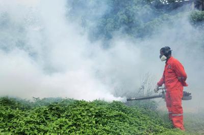 Dengue cases drop to 1,698 in ME15, one death reported