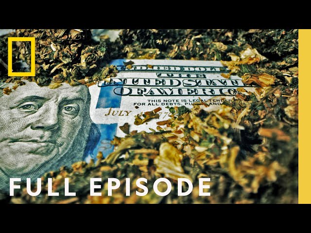 From Hockey Star to King of Weed: Locked Up Abroad (Full Episode) | National Geographic