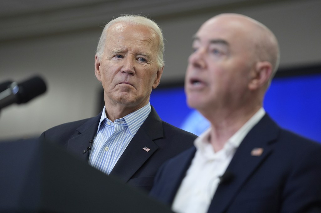 Biden’s DHS taps anti-ICE activist to scrutinize detention of illegal immigrants