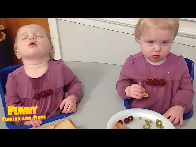 What Happen with Baby 😭 Funny Sibling and Twin Babies Trouble All day - Funny Baby Videos