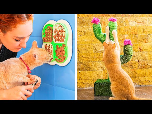 Amazing hacks for smart pet owners