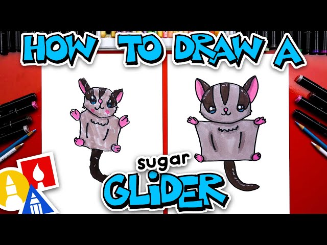 How To Draw A Sugar Glider