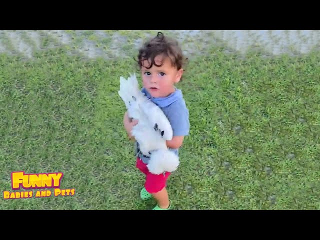 Try Not To Laugh 😜 Babies Have Failed Chickens Moments #2 - Funny Babies and Pets