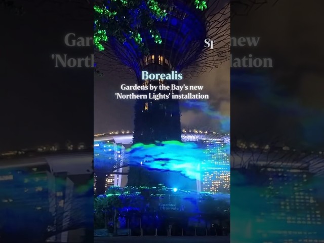 The ‘Northern Lights’ are coming to Singapore #gardensbythebay