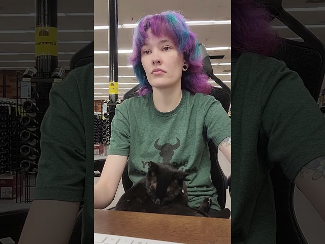 This Cat Works At A Liquor Store | The Dodo