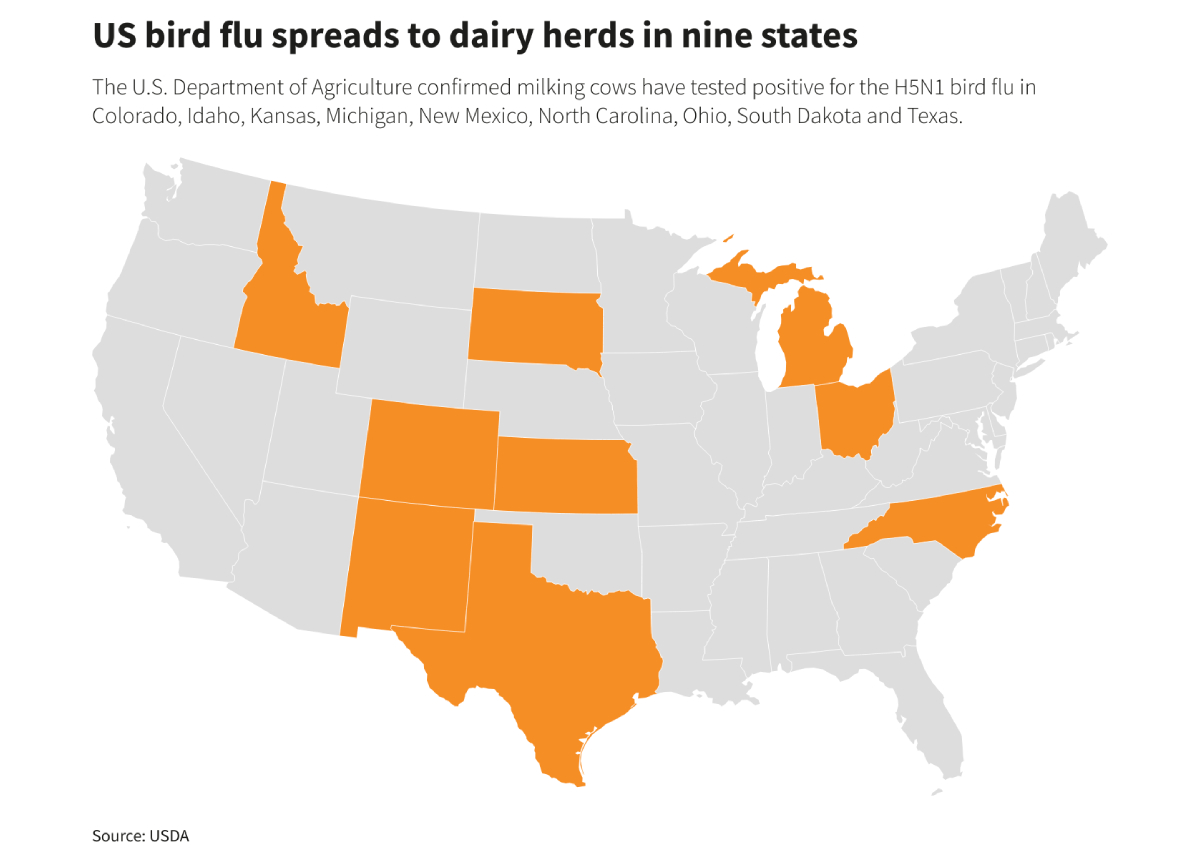 Bird flu: US tests show pasteurised milk is safe