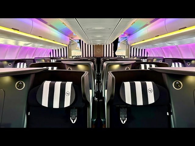 CONDOR A330neo Business Class | Frankfurt to Cancun trip report (great flight!)