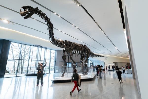 Museums Are Changing How They Bring Natural Sciences to Life