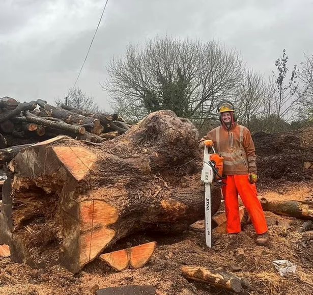 Sycamore Gap arrest confusion could ruin my business, says lumberjack