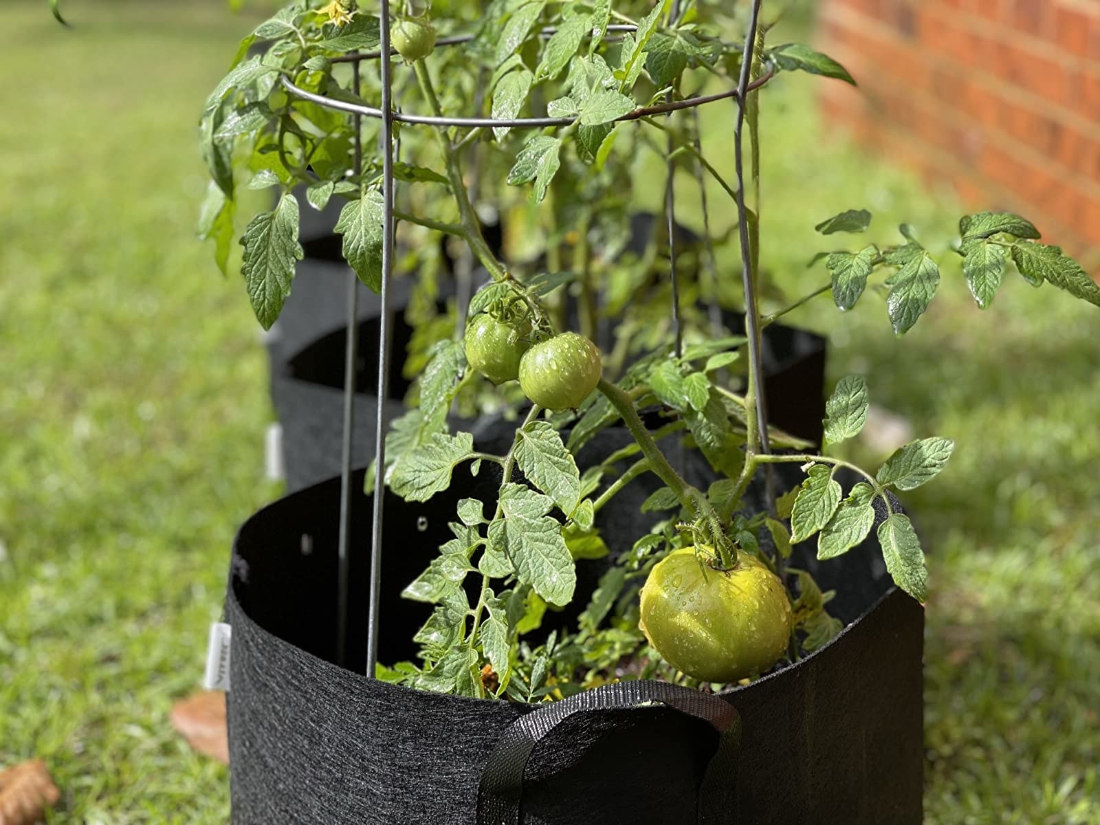 27 Gardening Products That’ll Make You Feel Like You Have A Green Thumb (Even If You Don’t)
