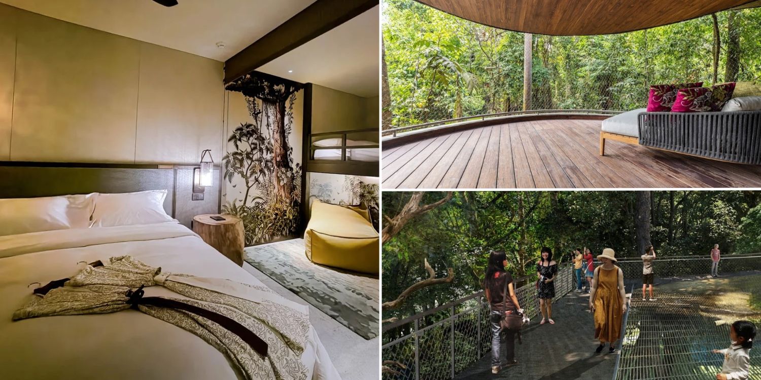 Mandai rainforest resort to open in 1st half of 2025 with treehouses offering forest views