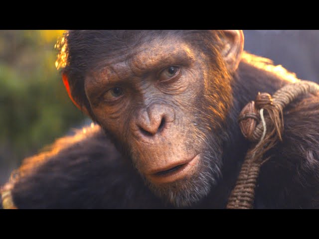 The Ending Of Kingdom Of The Planet Of The Apes Explained | Nestia