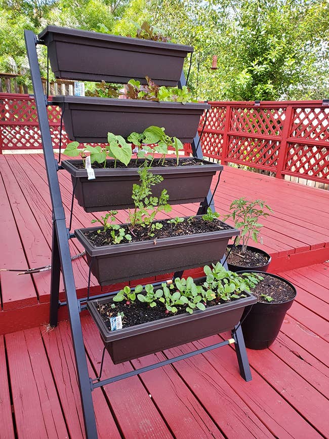 Turn Your Backyard Into A Cool Outdoor Destination With These 28 Things