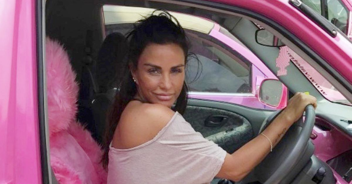 Katie Price victim of 'acid attack' as vandals 'break into Mucky Mansion'