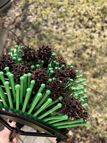 31 Gardening Products That Actually Work And Have The Photographic Evidence To Prove It