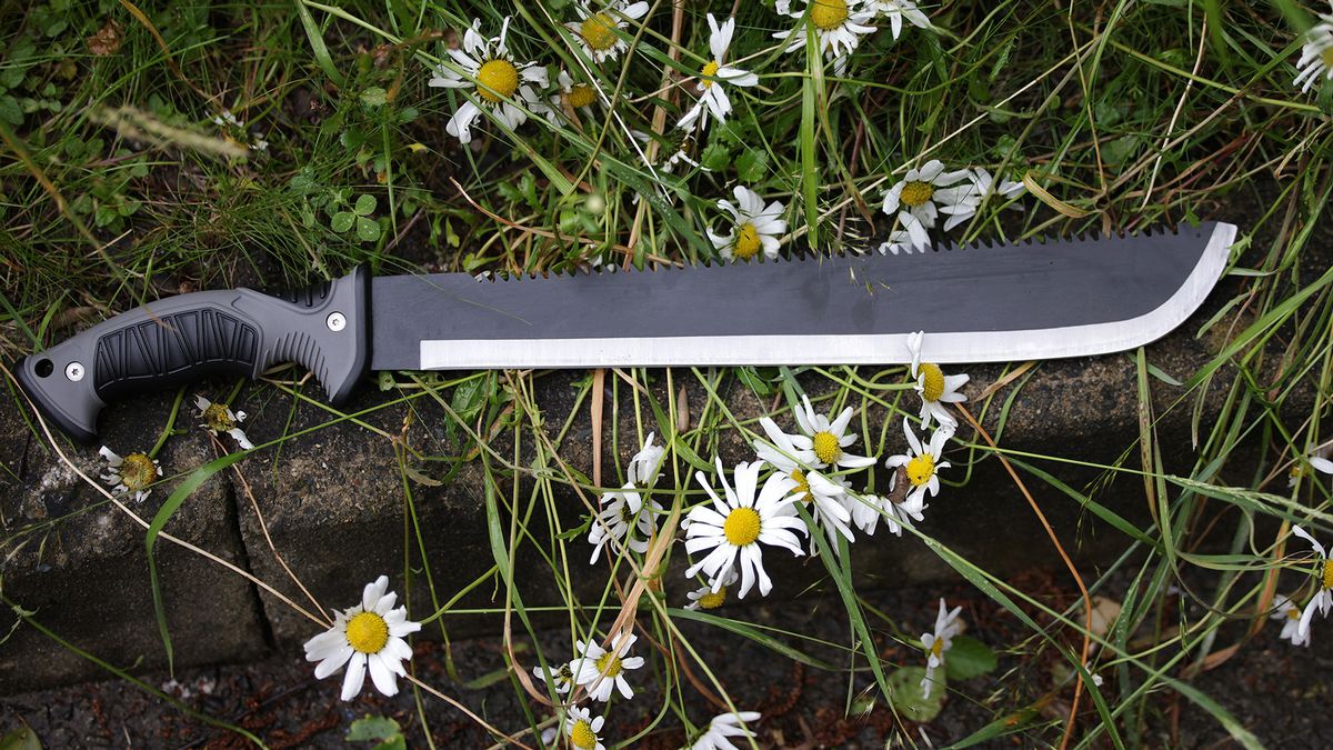 Online retailer Temu caught selling knives and guns to potential children