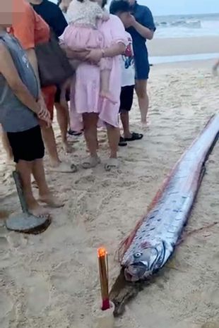 Deep sea oarfish which ‘predicts’ natural disasters washes up on beach