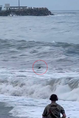 Couple shared final kiss amid crashing waves before girlfriend washed out to sea and presumed dead