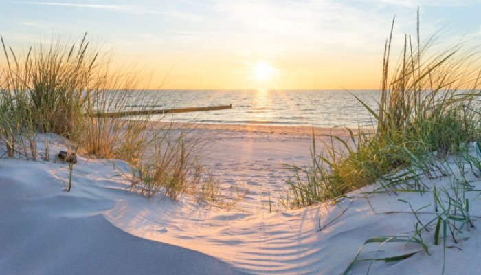 Symrise’s SymSol ProSun facilitates development of high SPF products