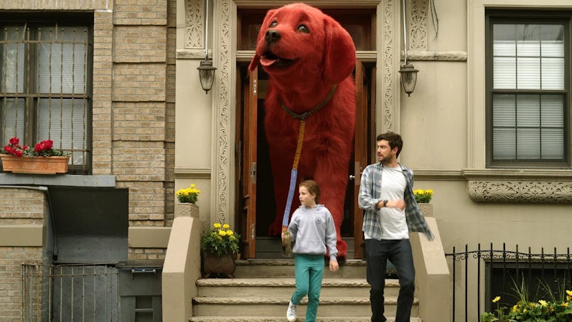 135 Dog Names From Movies To Help Your Family Name Your New BFF
