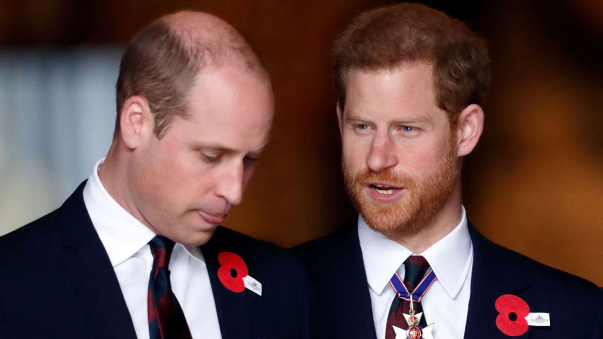 Prince Harry's cryptic remark after receiving text message from Prince William