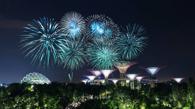 Gardens by the Bay and Mediacorp are back with an epic National Day concert
