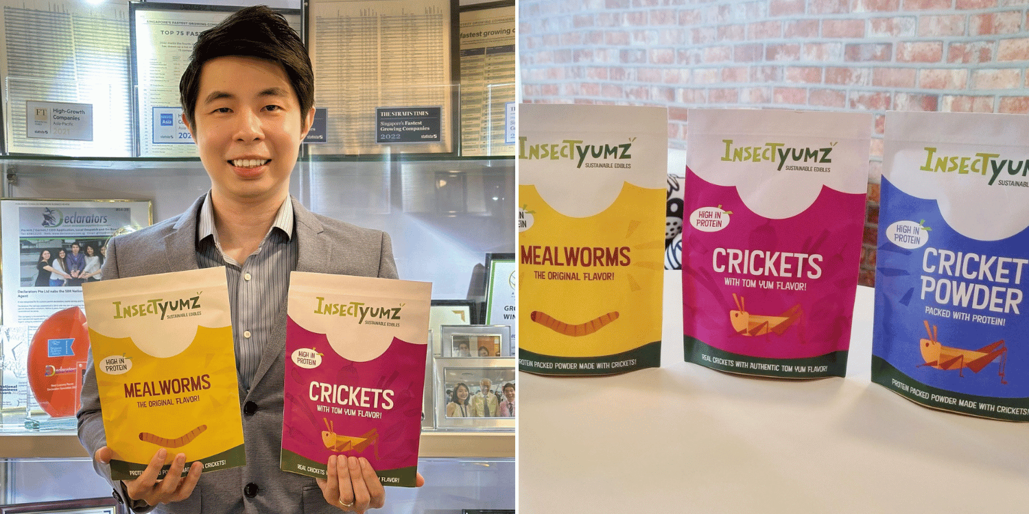 S’pore company offers tom yum cricket & mealworm snacks following sfa approval for edible insects