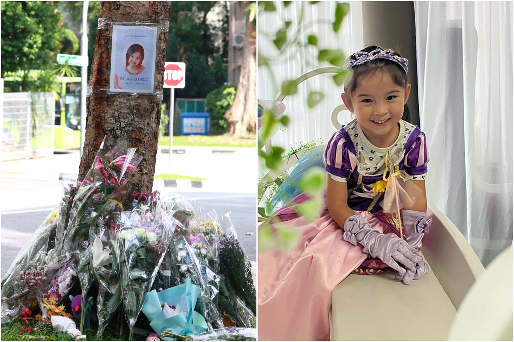 River Valley fatal accident: Driver could not have noticed girl running across the road, says coroner