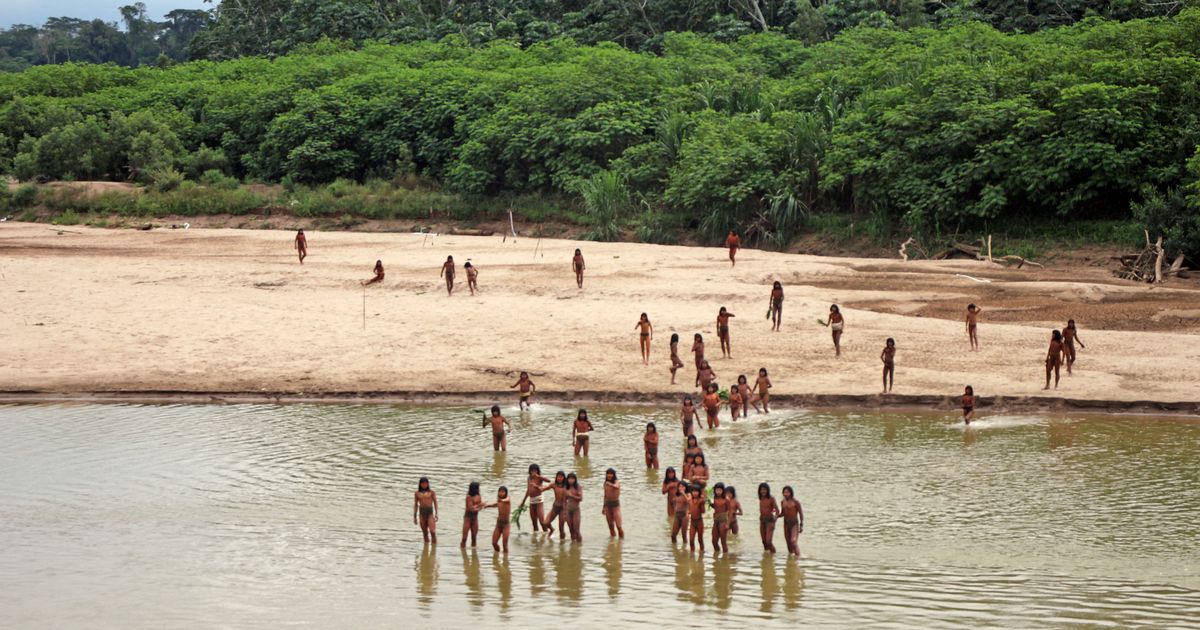Amazing video captures glimpse of 'uncontacted' tribe in remote Amazon rainforest