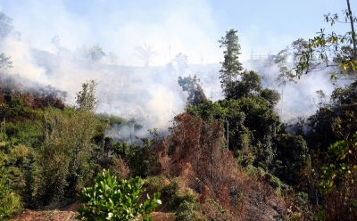 With over 50 hot spots in Sibu, fire chief reminds public against open burning during heatwave