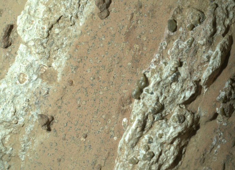 Nasa mars rover captures rock that could hold fossilized microbes